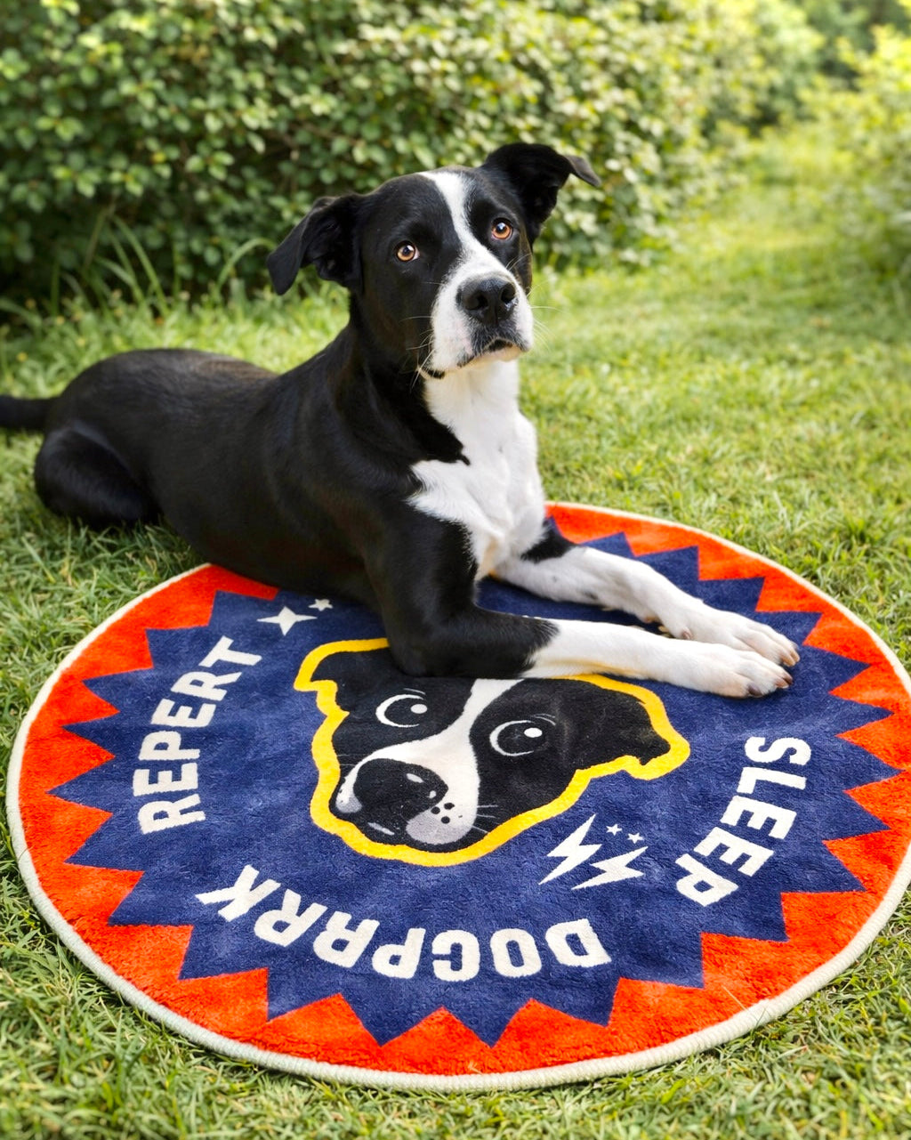 Custom Pet Portrait Rug